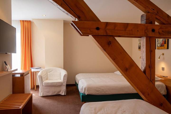 Hôtel pour 3 personnes, avec vue et jardin, animaux acceptés dans Carspach - 3