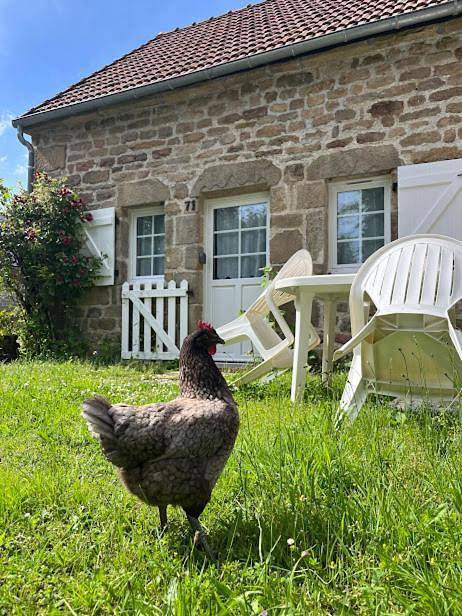 One-Bedroom House in Royère-de-Vassivière, Parc Naturel Régional de Millevaches en Limousin