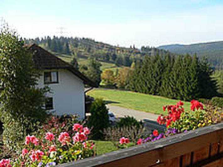 Ferienhaus für 4 Personen, mit Balkon und Ausblick in Grafenhausen - 4