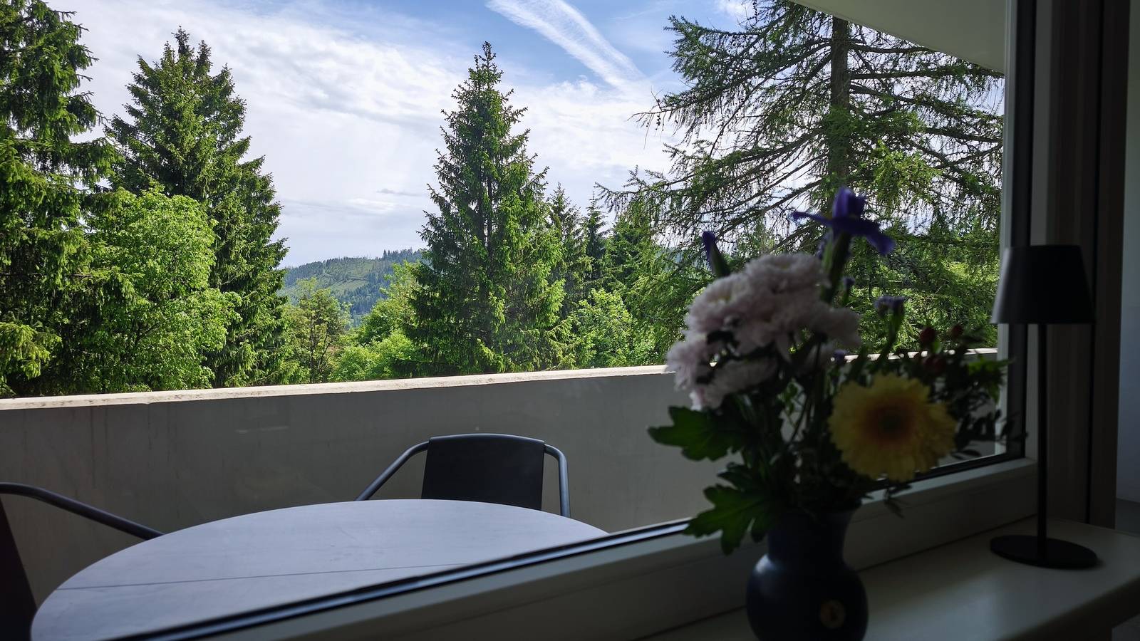 Ganze Ferienwohnung, Hochdrei - Hahnenklee in Hahnenklee, Goslar