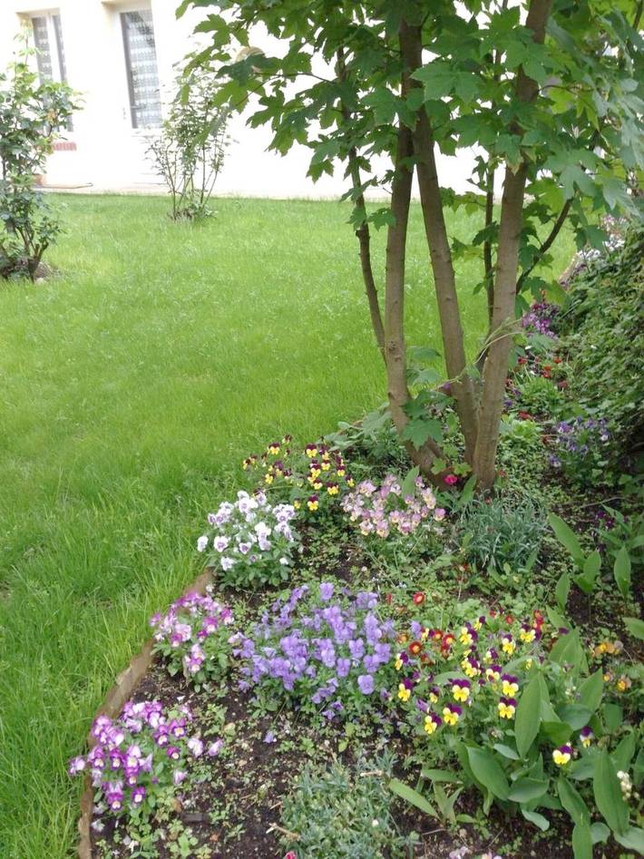 Maison de vacances pour 5 personnes, avec Terrasse et Jardin à Sancerre