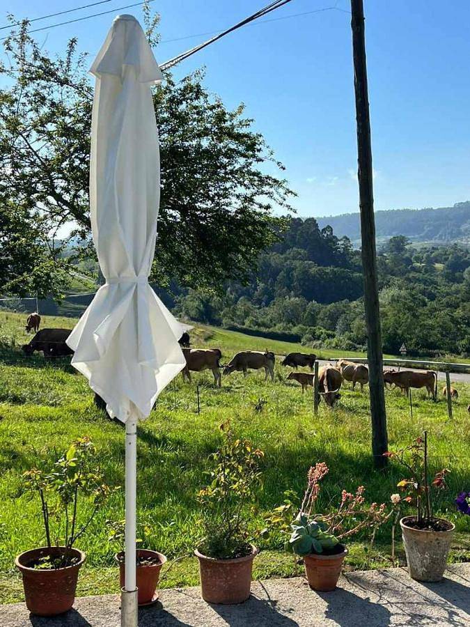 Casa rural para 6 personas, con jardín en Ribadedeva - 3