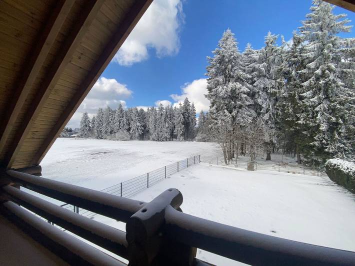 Ferienhaus für 8 Personen, mit Garten in Neuhaus am Rennweg - 2