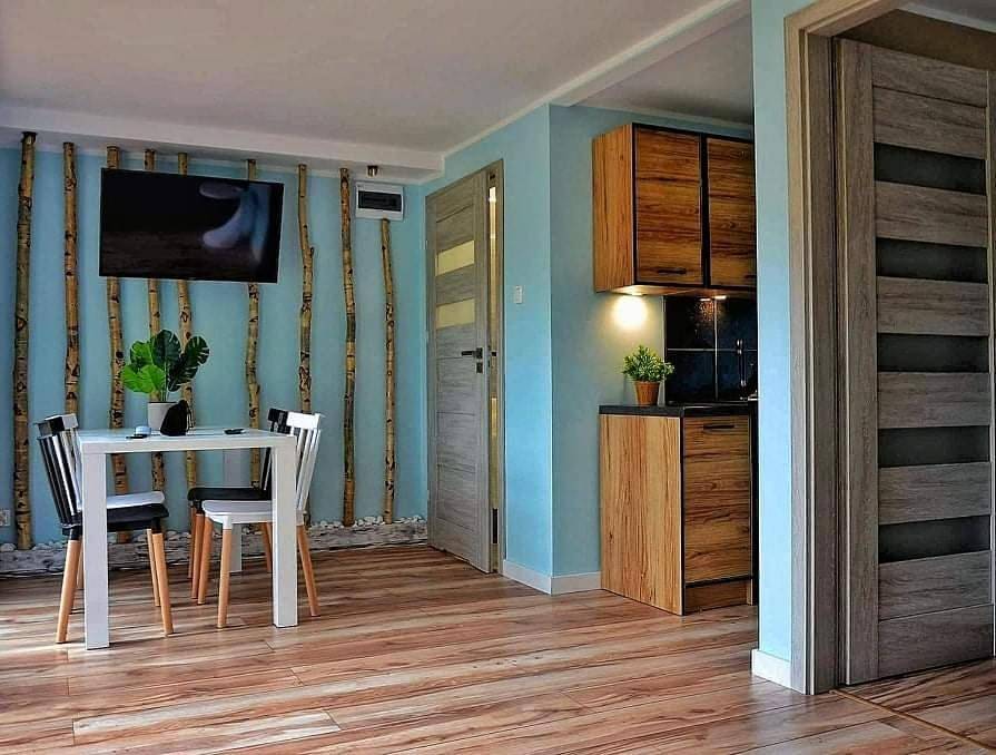 Apartment in Sudety (Polska)