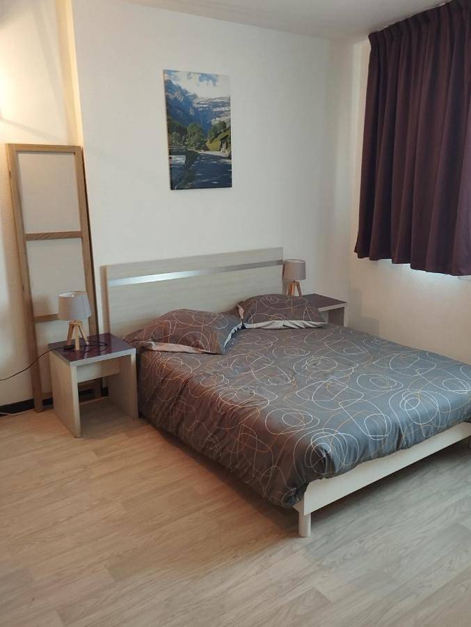 Gîte pour 4 personnes, animaux acceptés dans Gare De Lourdes - 3