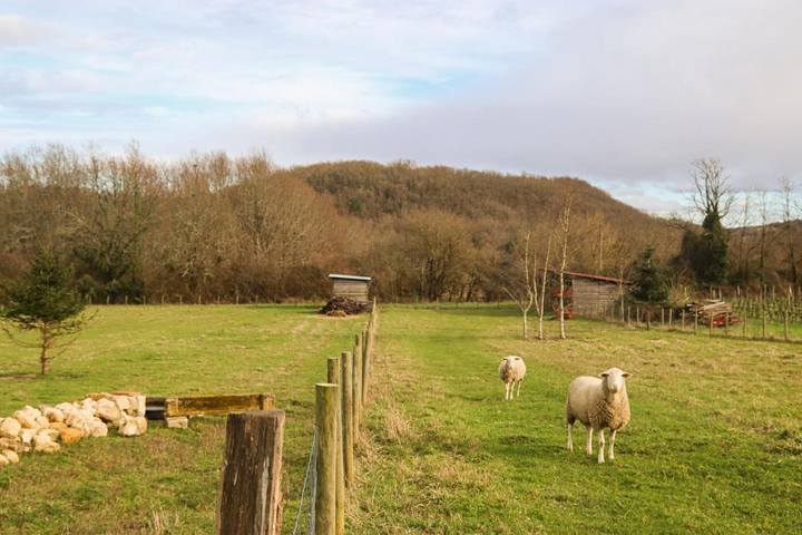 Gîte pour 2 personnes, avec terrasse et jardin à Saint-Aubin-de-Branne - 3