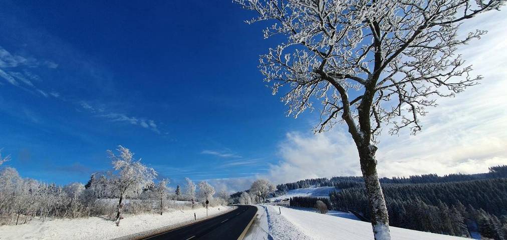 Ferienwohnung für 4 Personen, mit Garten und Ausblick in Altastenberg - 2