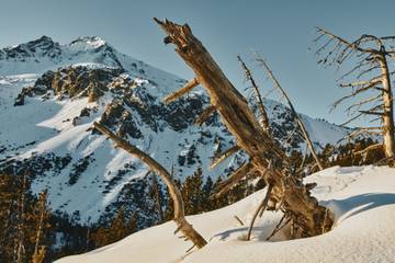 Ferienwohnung für 6 Personen in Zernez, Unterengadin, Bild 2