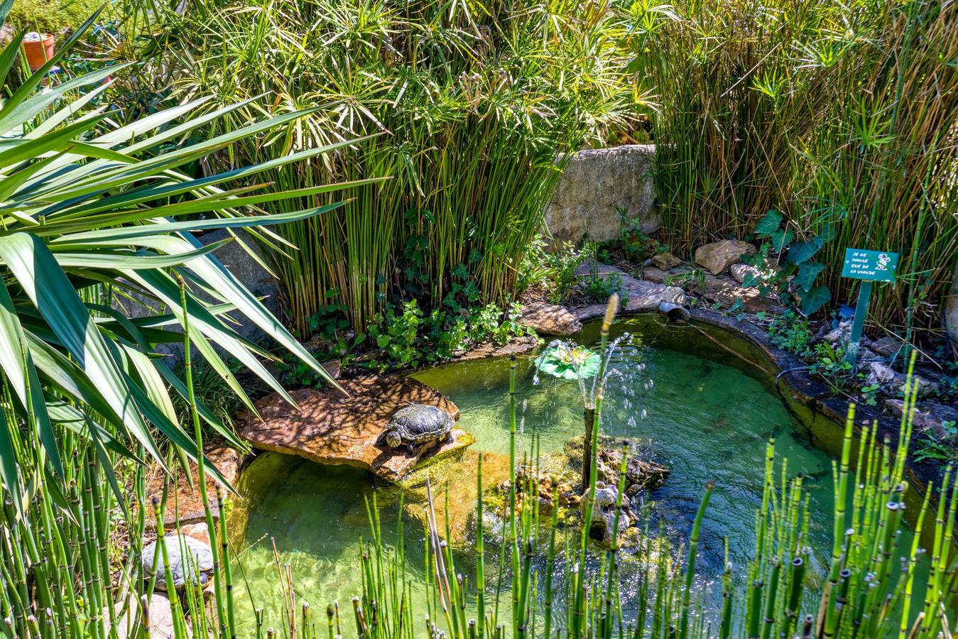 Ganze Wohnung, Standort Fontaine de Sarac in Clermont-l'Hérault, Lodève und Umgebung