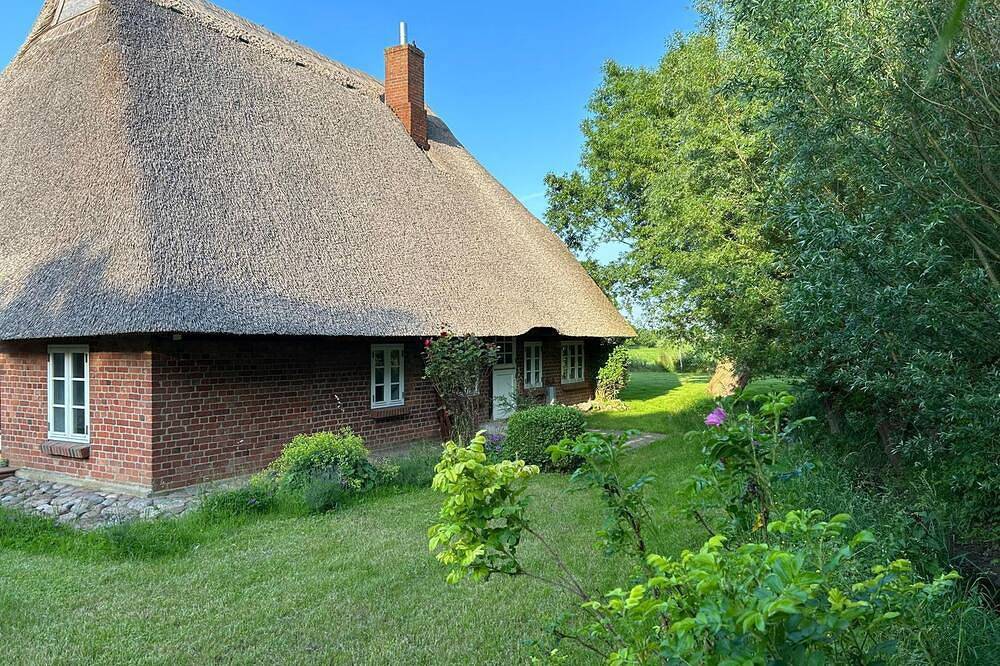 Romantisches Cottage unter Reet inmitten der Natur in Behrensdorf, Südliche Ostseeküste