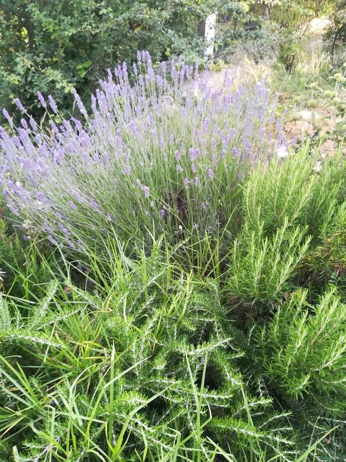 Maison d’hôte pour 2 personnes, avec jardin et vue à Draguignan - 3