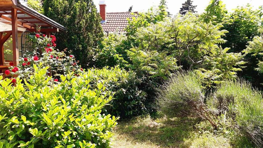 Ferienhaus für 9 Personen, mit Garten und Seeblick sowie Ausblick, mit Haustier in Westtransdanubien - 4