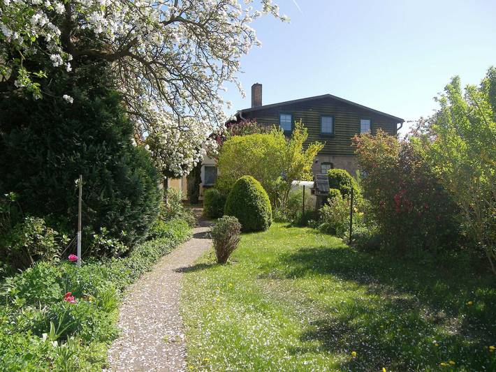 Ferienhaus für 4 Personen, mit Terrasse und Garten in Mellenthin - 4