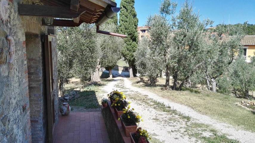 Chambre d’hôte pour 3 personnes, avec Terrasse et Jardin à Montalcino - 2