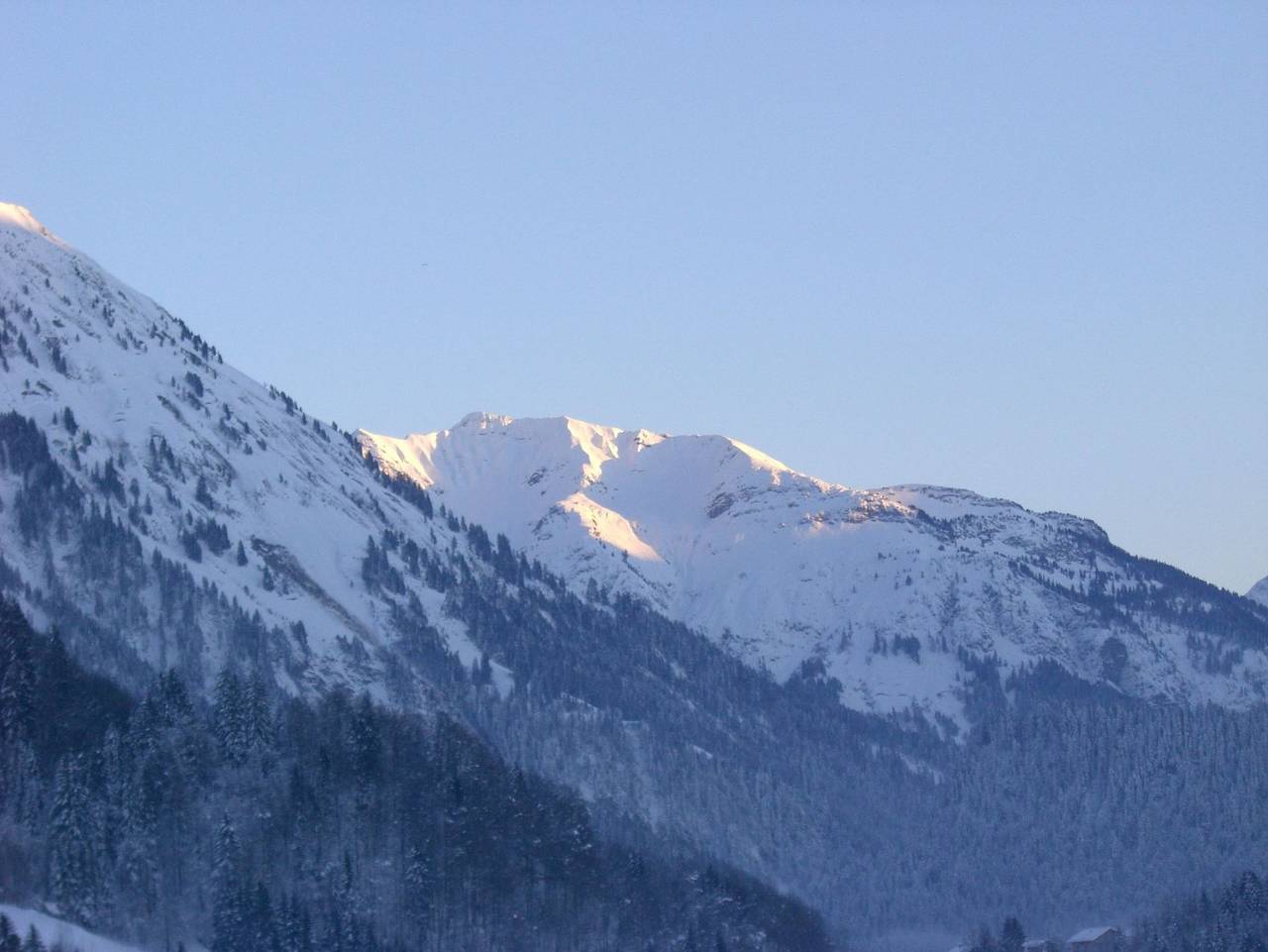 Ganze Ferienwohnung, Ferienwohnung Peter - Fewo Peter, 3 Sz+ 1 Schlafsofa in Au, Bregenzerwald