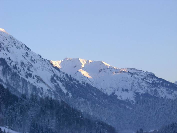 Ganze Ferienwohnung, Ferienwohnung Peter - Fewo Peter, 3 Sz in Bregenzerwald (Vorarlberg), Au