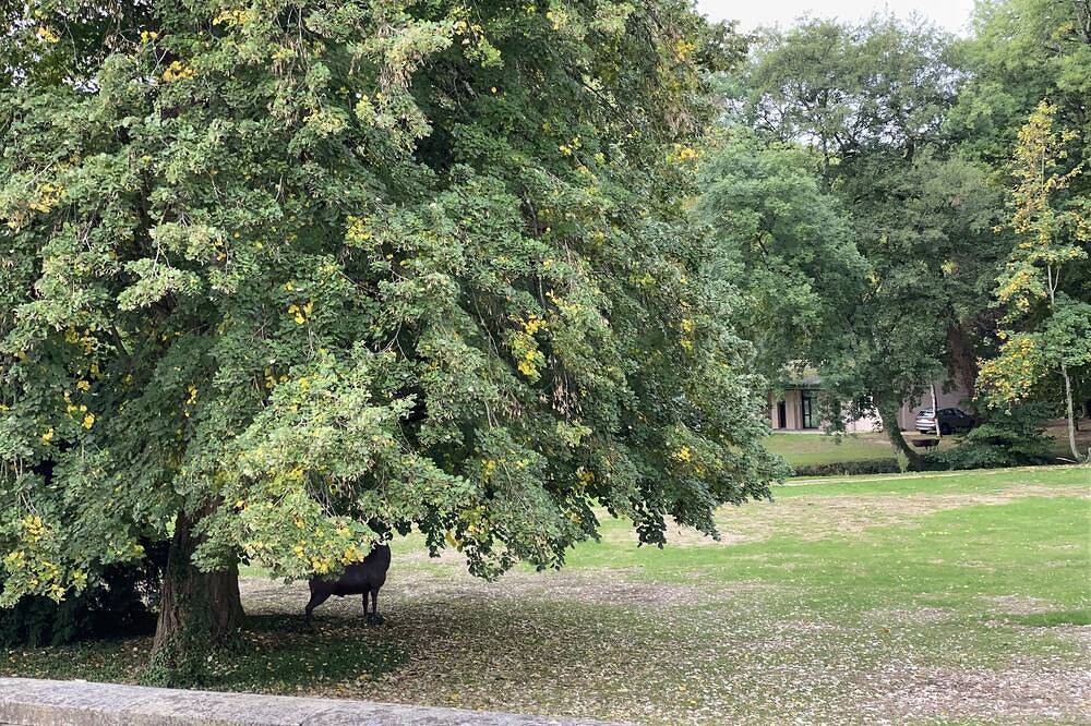 3-bedroom house in the heart of the National Forest Park in Arc-en-Barrois, Parc national de forêts