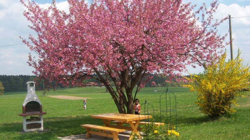 Bauernhof für 4 Personen, mit Terrasse und Garten in Chieming