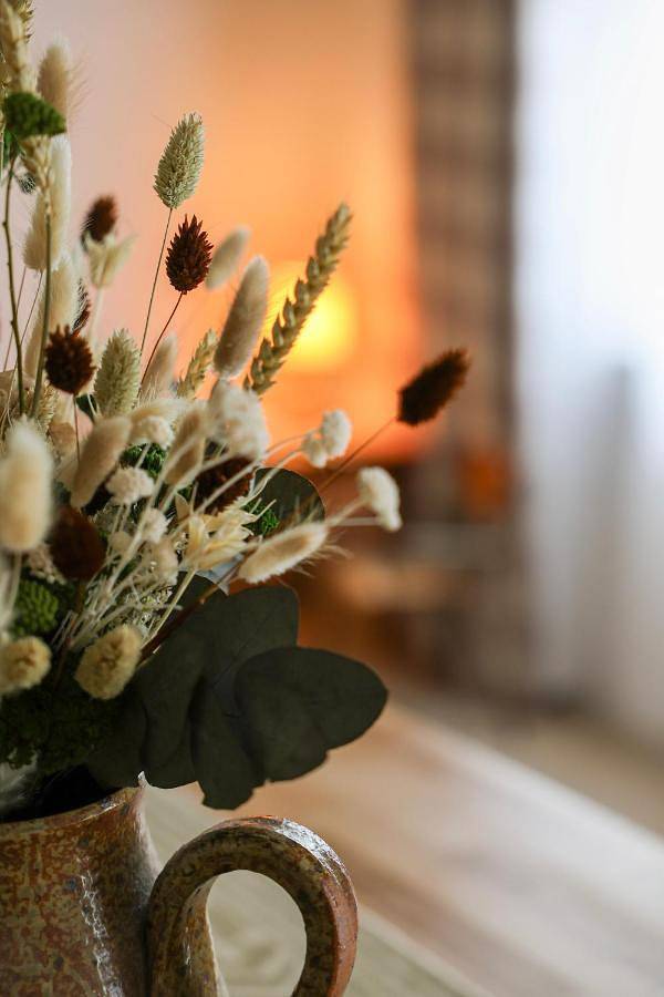 Location de vacances pour 10 personnes, avec jardin dans Château de Chambord - 2