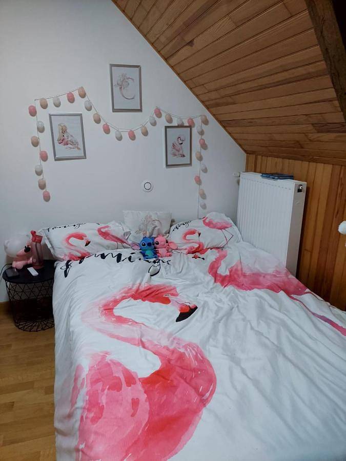 Appartement de vacances entier, Double Room with Private Bathroom in Vieux-Vy-sur-Couesnon, Région de Rennes