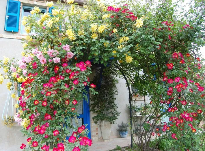 Rustico per 2 persone, con panorama e giardino, con animali domestici - 1