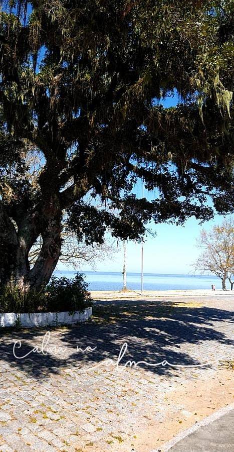 Casas e apartamentos de temporada para 6 pessoas, com vista e terraço e ainda jardim and vista para o lago, com animais de estimação em São Lourenço do Sul