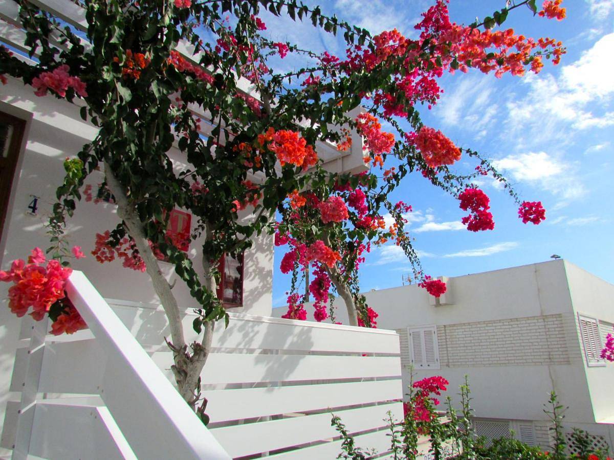 Apartamento entero, Apartamentos El Capricho in Playa de Maspalomas, San Bartolomé de Tirajana