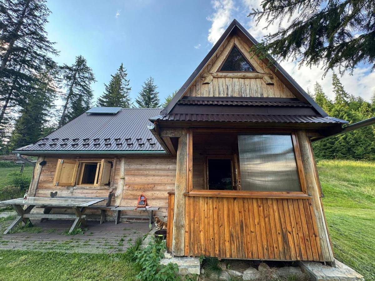 Terenowka Bacowka in Karpaty (Polska)