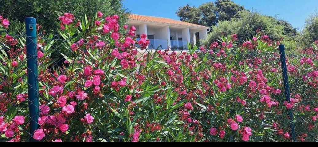 Villa pour 6 personnes, avec vue et jardin dans Lun - 2