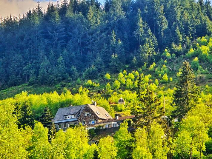 Geheel appartement, Vakantiewoning Talblick met balkon, open haard, wifi, prachtig uitzicht en omheind hondenveld in Bestwig, Hochsauerlandkreis