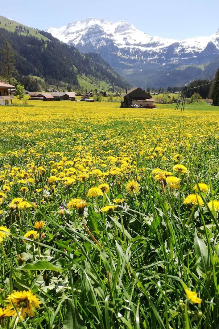 Entire apartment, Kari's Schüür in Lenk, Frutigen - Lenk - Adelboden