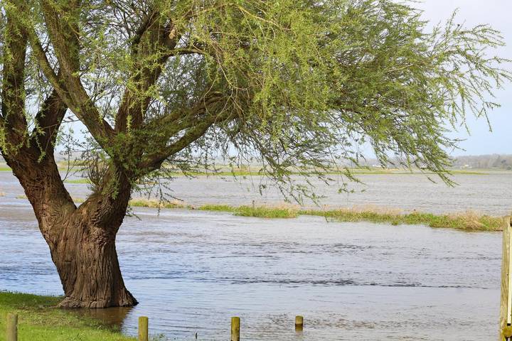 Gîte pour 2 personnes, avec jardin dans Cotentin - 3