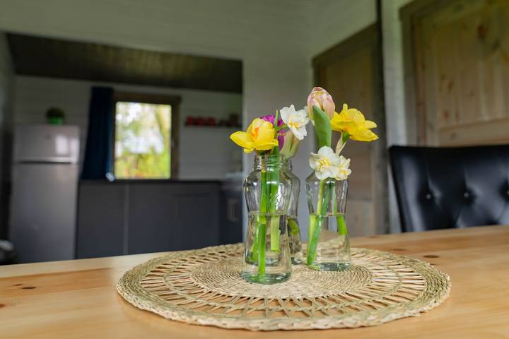 Camping Sudersé - De Skries in Workum, Ijsselmeer