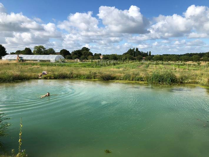Location de vacances pour 5 personnes, avec terrasse, animaux acceptés à La Gripperie-Saint-Symphorien - 3