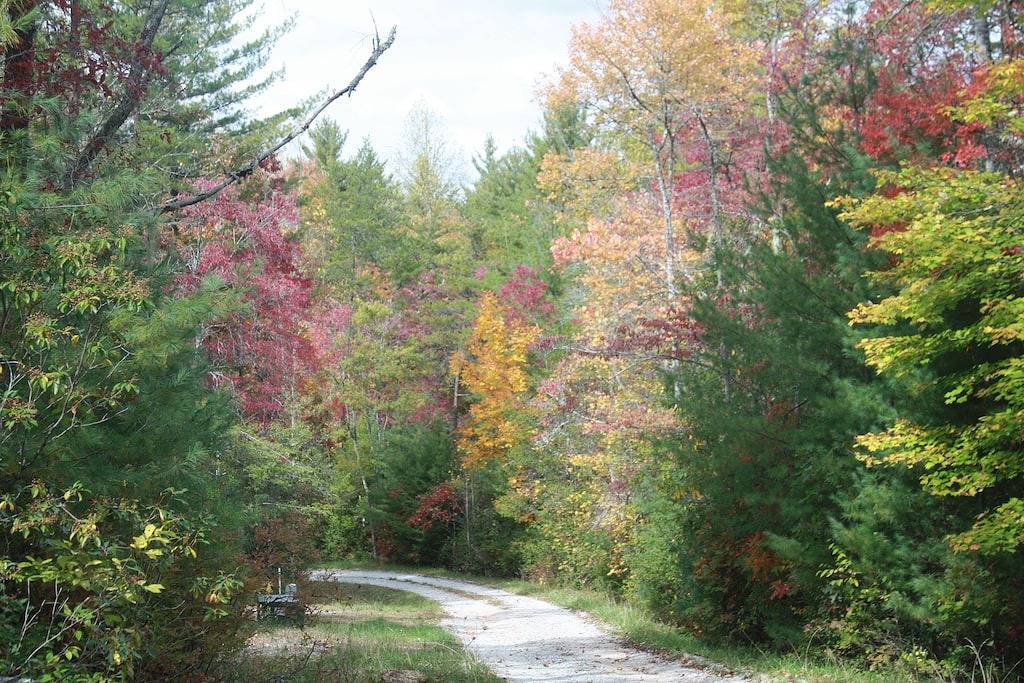 Vacation House for 7 Guests in Nantahala, Macon County