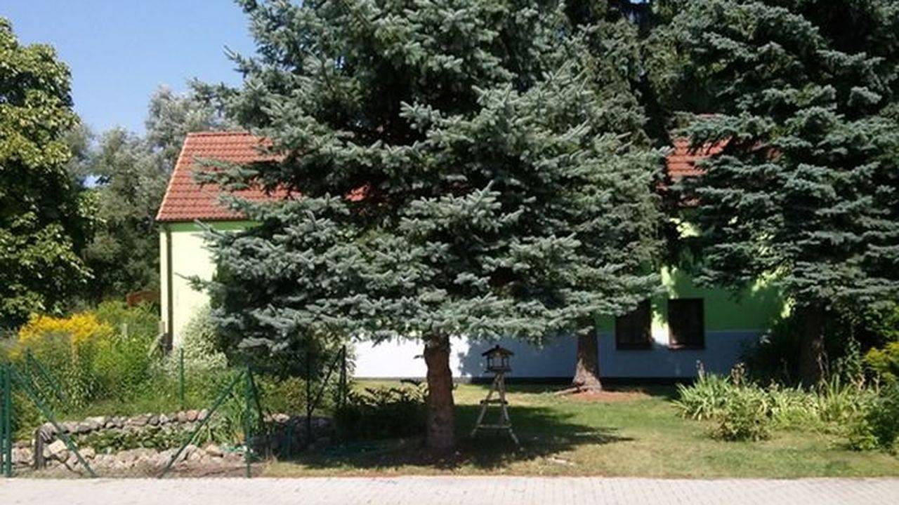 Ferienhaus für 2 Personen (37 m²) in Wesenberg in Wesenberg, Mecklenburg-Strelitz