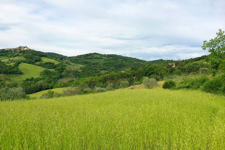 Villa Este con piscina in campagna in Civitella Paganico, Provincia di Grosseto