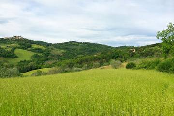 Agriturismo per 7 Persone in Civitella Paganico, Provincia di Grosseto, Foto 4