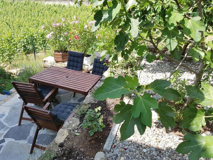 Location de vacances pour 6 personnes, avec vue sur le lac ainsi que jardin et vue, animaux acceptés à Hauterive - 4