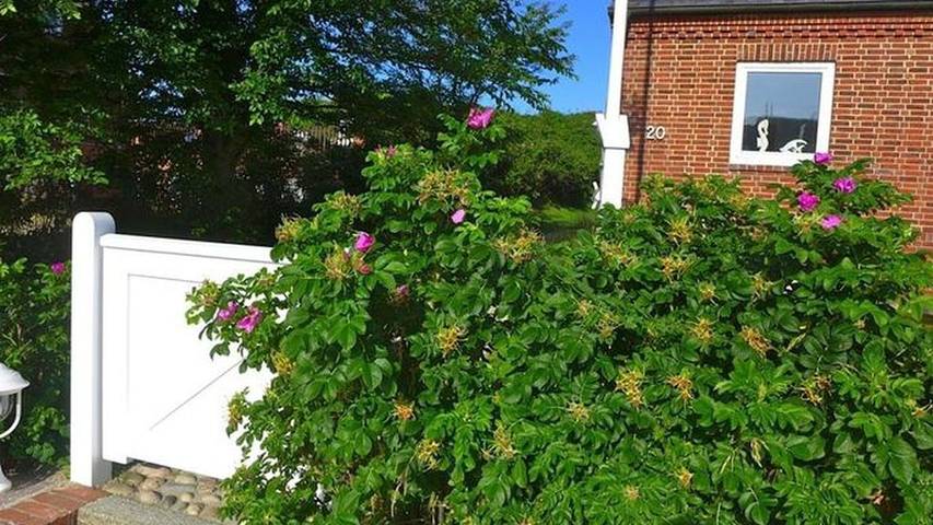 Ferienhaus für 6 Personen, mit Garten auf Sylt - 2