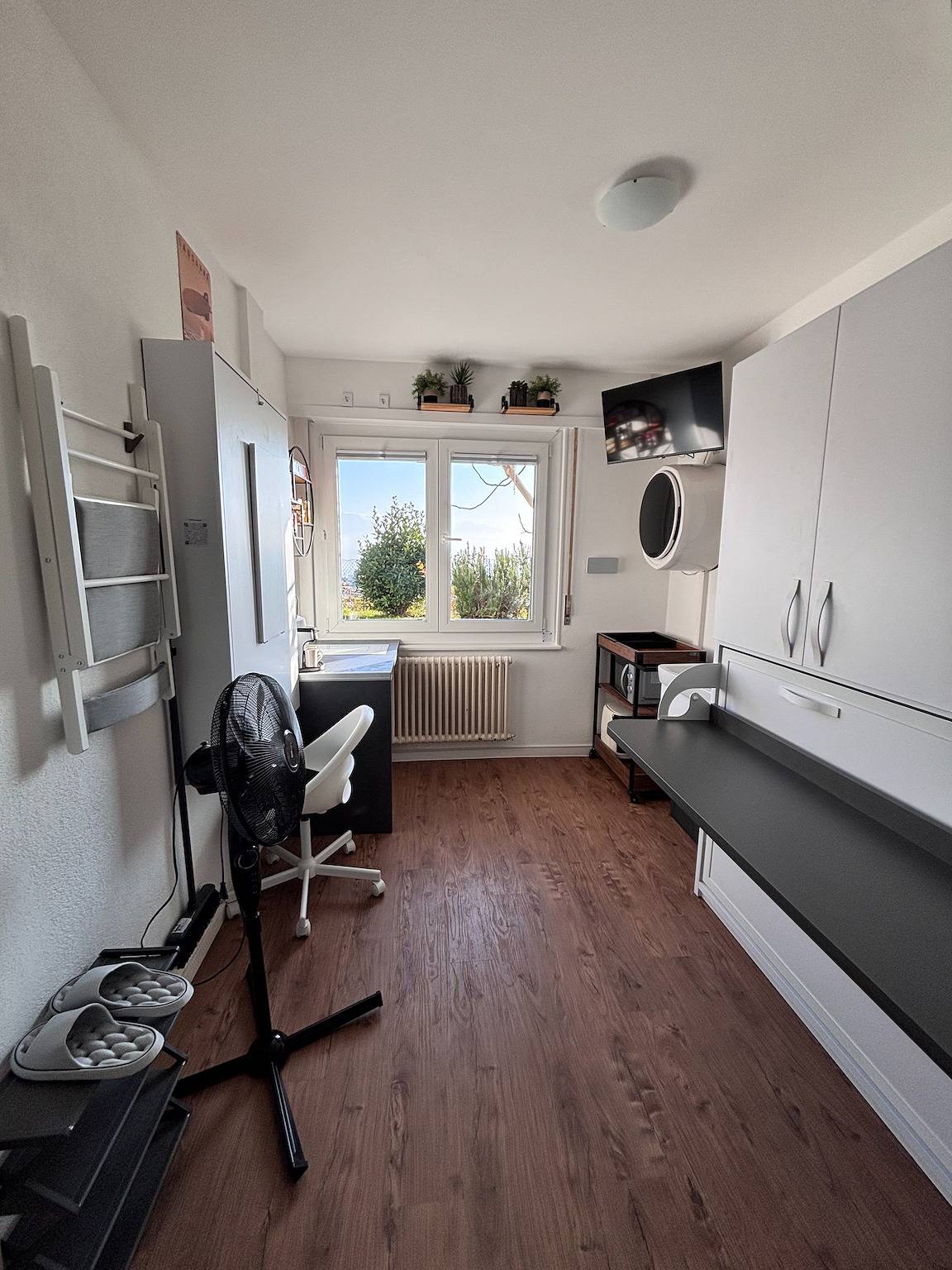 Lake view room in Pully with washing machine - Grape Place Bellevue in Pully, Lake Geneva