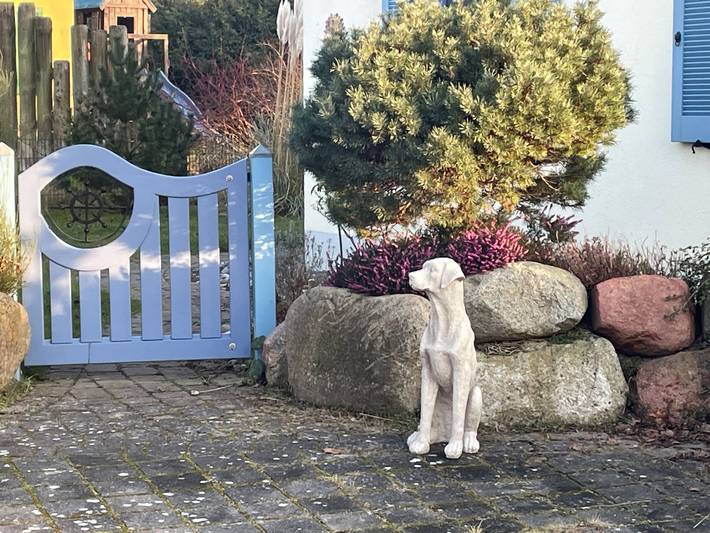 Strandhaus für 4 Personen, mit Sauna und Garten auf Rügen - 3