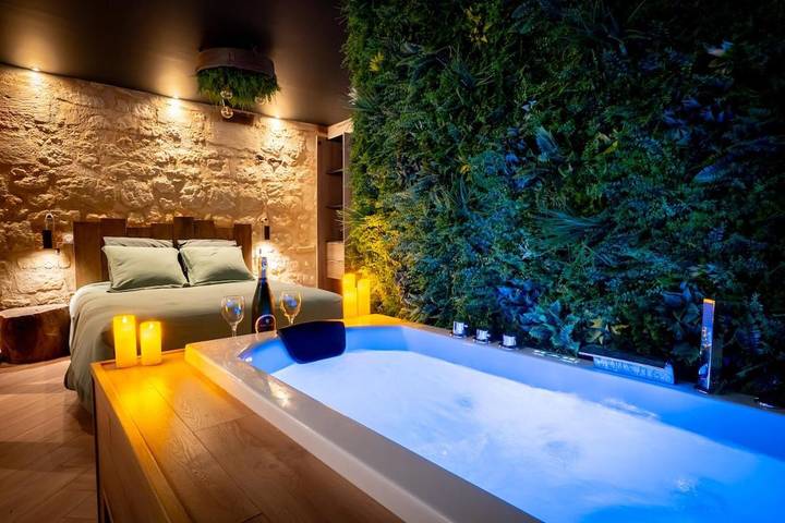 Gîte pour 2 personnes, avec jacuzzi, animaux acceptés à Candes-Saint-Martin