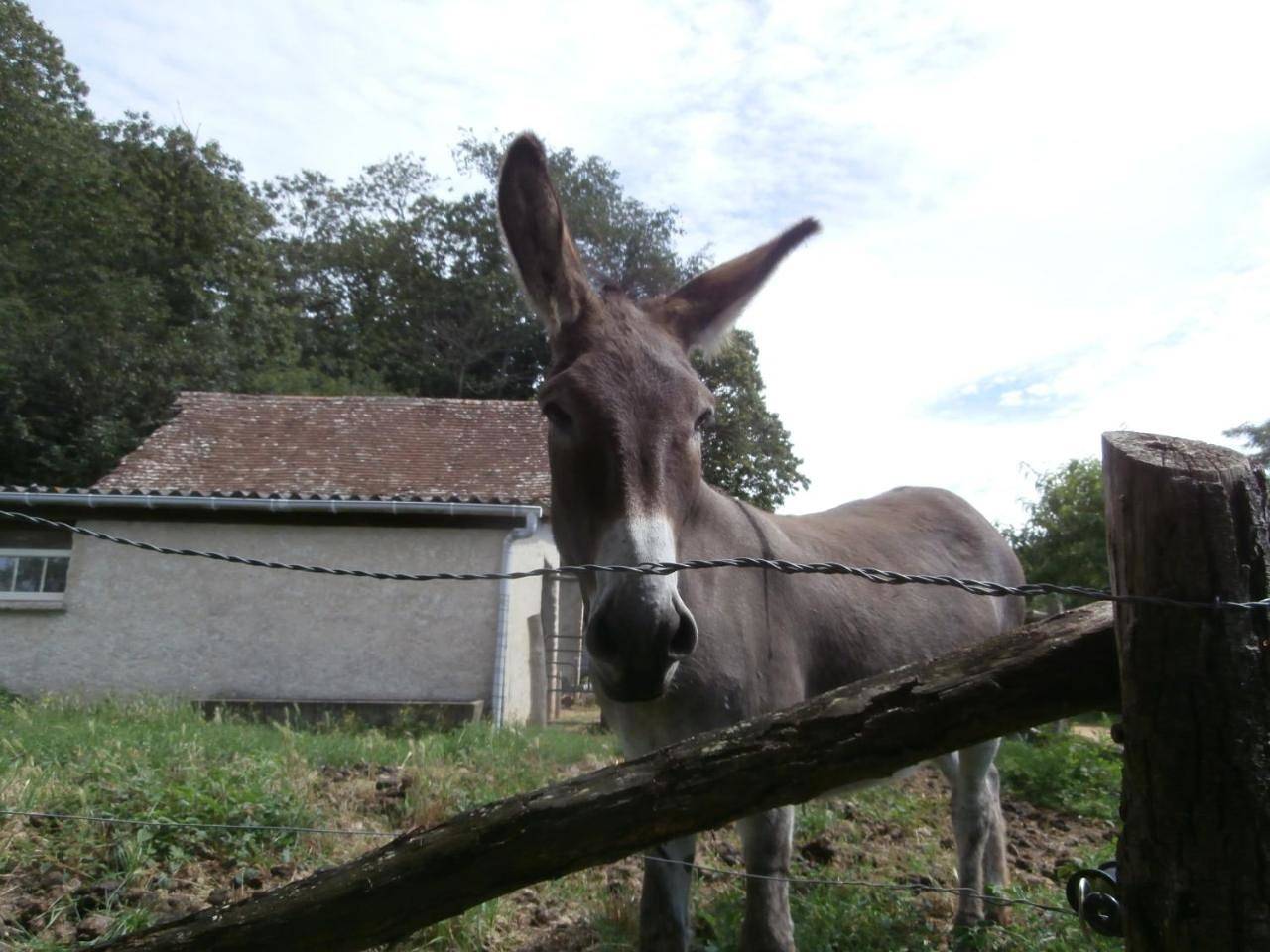 Gîte Bois Gaillard in La Flèche, Sarthe