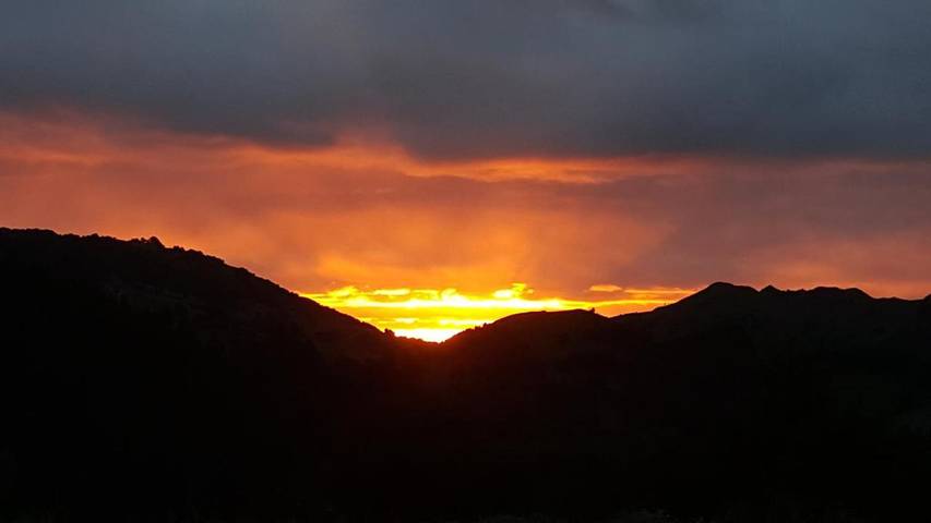 Chambre d’hôte pour 2 personnes, avec piscine et jardin ainsi que terrasse et jacuzzi dans Nouvelle-Zélande - 3
