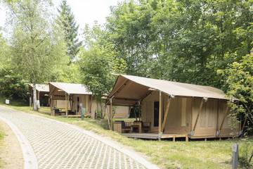 Glamping voor 4 Personen in Manhay, Provincie Luxemburg, Afbeelding 1