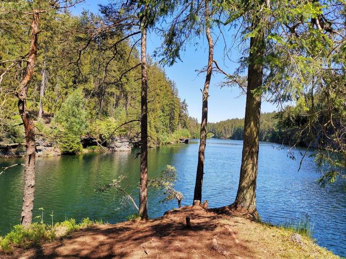 Hütte für 10 Personen, mit Garten und Terrasse sowie Sauna im Thüringer Wald - 2