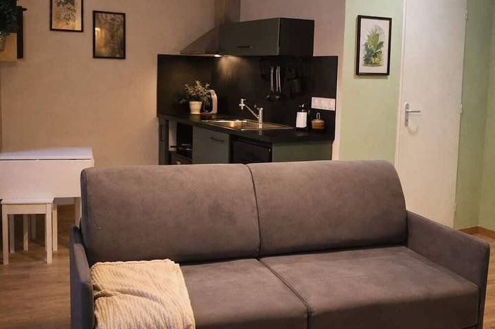 Apartamento entero, Studio Cosy & Design - Coeur de Ville, Calme et Confort Pro in Issoire, Parque Natural Regional Livradois-Forez