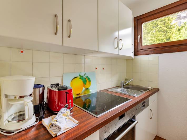 Ganze Wohnung, Appartement Ulli in Hochkönigstock, Mühlbach am Hochkönig