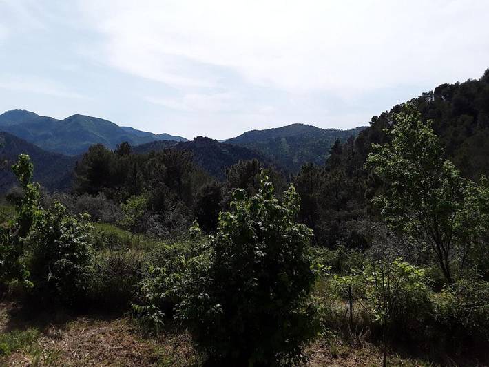 Location de vacances pour 4 personnes, avec jardin et vue à Breil-sur-Roya - 3